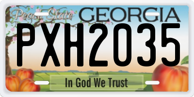 GA license plate PXH2035