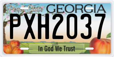GA license plate PXH2037
