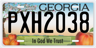 GA license plate PXH2038