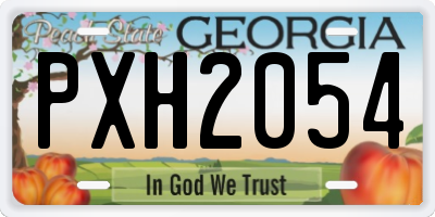 GA license plate PXH2054