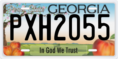 GA license plate PXH2055