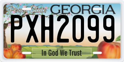 GA license plate PXH2099