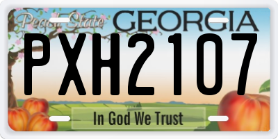 GA license plate PXH2107