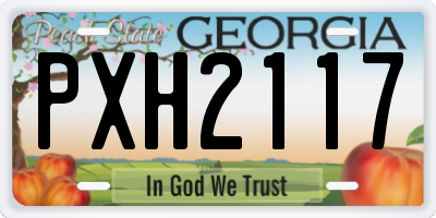 GA license plate PXH2117