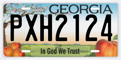GA license plate PXH2124