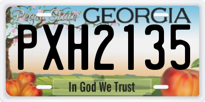 GA license plate PXH2135