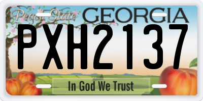 GA license plate PXH2137