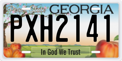 GA license plate PXH2141