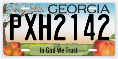 GA license plate PXH2142