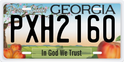 GA license plate PXH2160