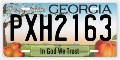 GA license plate PXH2163
