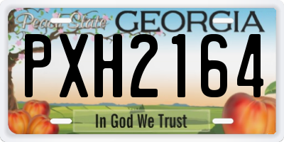 GA license plate PXH2164