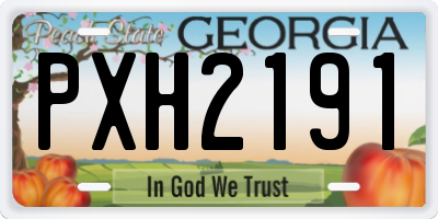 GA license plate PXH2191