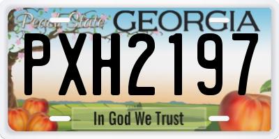 GA license plate PXH2197