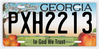 GA license plate PXH2213