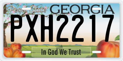 GA license plate PXH2217