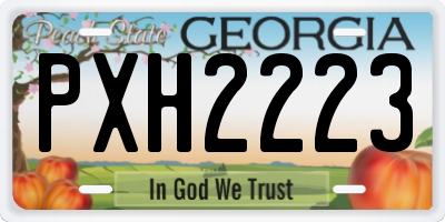 GA license plate PXH2223