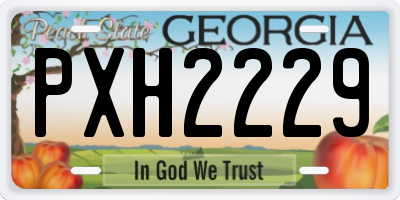GA license plate PXH2229