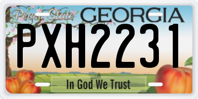 GA license plate PXH2231