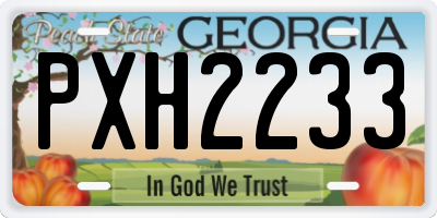 GA license plate PXH2233