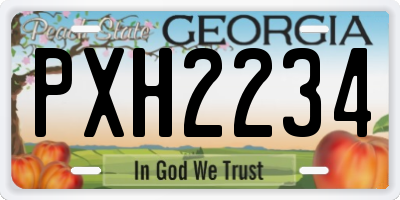 GA license plate PXH2234