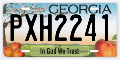 GA license plate PXH2241