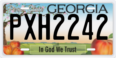 GA license plate PXH2242