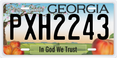 GA license plate PXH2243