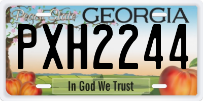 GA license plate PXH2244