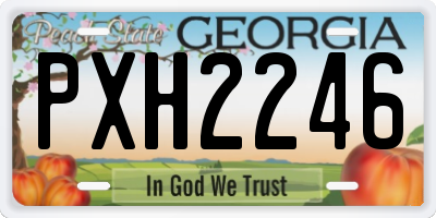 GA license plate PXH2246