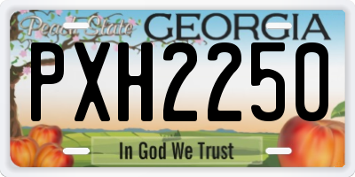 GA license plate PXH2250