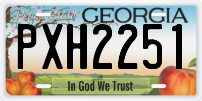 GA license plate PXH2251