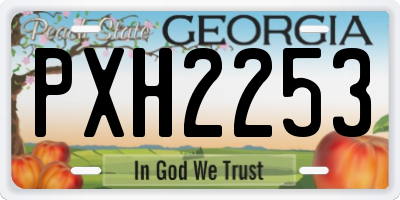 GA license plate PXH2253