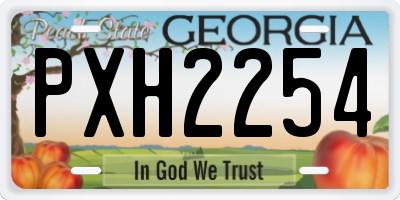 GA license plate PXH2254