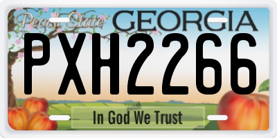 GA license plate PXH2266