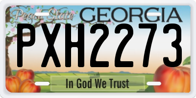 GA license plate PXH2273