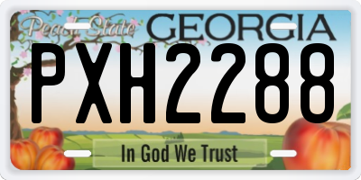 GA license plate PXH2288