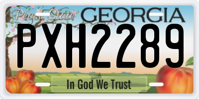 GA license plate PXH2289