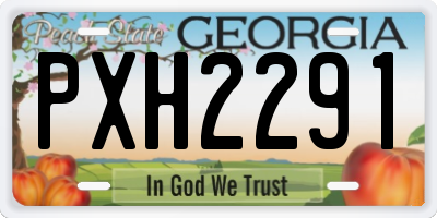 GA license plate PXH2291