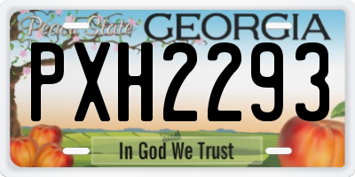 GA license plate PXH2293