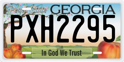 GA license plate PXH2295