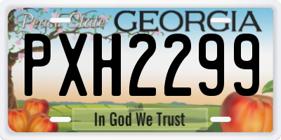 GA license plate PXH2299