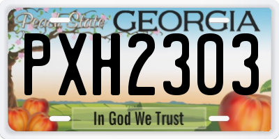 GA license plate PXH2303