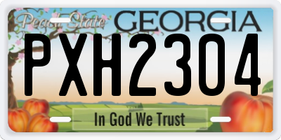 GA license plate PXH2304