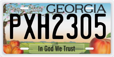 GA license plate PXH2305