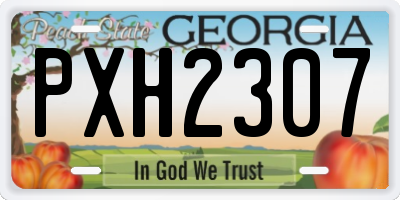 GA license plate PXH2307