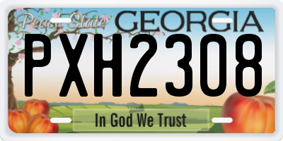 GA license plate PXH2308