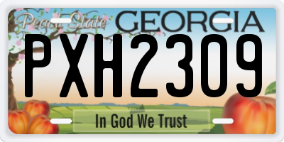 GA license plate PXH2309
