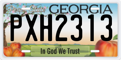 GA license plate PXH2313