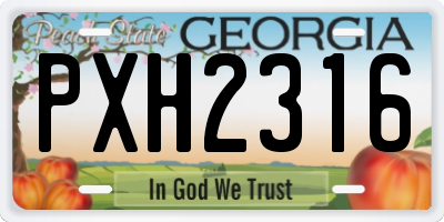 GA license plate PXH2316